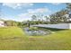 Picturesque backyard pond with lush green grass and serene surroundings at 10912 Quickwater Ct, Riverview, FL 33569