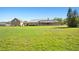Expansive green backyard with a view of the house and lanai at 13206 Lewis Raulerson Road, Dover, FL 33527