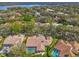 Aerial view of the residence, highlighting the screened pool and proximity to lush surroundings at 2136 Pinnacle N Cir, Palm Harbor, FL 34684