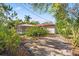 View of the home from the backyard, showcasing the landscaping and a glimpse of the exterior at 360 22Nd Ne Ave, St Petersburg, FL 33704