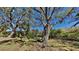 Lush backyard featuring mature trees offering shade and privacy at 6805 Winslow St, Sarasota, FL 34243