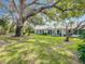 Lush backyard featuring well-maintained grass and mature trees offering ample shade for outdoor enjoyment at 1655 S Highland Ave # G164, Clearwater, FL 33756