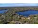 Scenic lake community surrounded by lush greenery and waterfront homes, captured from a bird's-eye view at 16573 Hutchison Rd, Odessa, FL 33556