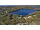 Expansive lake surrounded by lush forests and waterfront homes, showcasing a serene and picturesque landscape at 16573 Hutchison Rd, Odessa, FL 33556