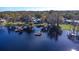 Beautiful waterfront homes with private docks surrounded by lush trees and a calm lake, aerial shot at 16573 Hutchison Rd, Odessa, FL 33556