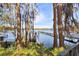 Scenic lake view framed by moss-draped trees and lush greenery, offering a tranquil natural setting at 16573 Hutchison Rd, Odessa, FL 33556