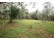 Picturesque backyard with mature trees and a mix of grass and ground cover at 25590 Olympia Rd, Brooksville, FL 34601