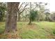 A spacious backyard featuring trees, grassy areas, and natural beauty at 25590 Olympia Rd, Brooksville, FL 34601