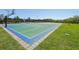 Community basketball court with vibrant green and blue surfaces and well maintained landscaping at 30280 Southernwood Ct, Wesley Chapel, FL 33543