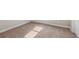 Close up view of the carpet flooring and baseboard trim at 30280 Southernwood Ct, Wesley Chapel, FL 33543