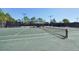 Community tennis court with manicured net and fully fenced court, ready for a match at 30280 Southernwood Ct, Wesley Chapel, FL 33543