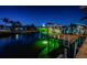 Night scene shows a dock with boat lift and underwater lights, creating a picturesque waterfront setting at 315 Manatee Ln, Tarpon Springs, FL 34689