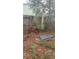 Backyard view, with foliage and wooden fence at 3718 19Th S Ave, St Petersburg, FL 33711
