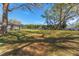 Expansive backyard with lush green grass, mature trees, and ample space for outdoor activities at 37350 Neighbors Path, Zephyrhills, FL 33542