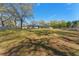 Large, well-maintained backyard featuring mature trees and plenty of open space at 37350 Neighbors Path, Zephyrhills, FL 33542