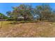 Picturesque home with grand trees, offering a serene setting and a spacious, well-manicured front yard at 37350 Neighbors Path, Zephyrhills, FL 33542