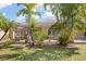 Home backyard with lush palm trees surrounding a large screened-in patio area, creating a private outdoor retreat at 3798 Darston St, Palm Harbor, FL 34685