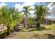 Home backyard featuring a screened patio, palm trees, and well-maintained lawn at 3798 Darston St, Palm Harbor, FL 34685