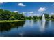 Beautiful community pond with a central fountain, surrounded by lush trees and serene landscaping at 3798 Darston St, Palm Harbor, FL 34685