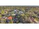 An aerial view showing the property's location amid lush greenery and neighboring homes in a serene community setting at 4624 W Lamb Ave, Tampa, FL 33629