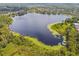 Beautiful aerial view of a scenic lake surrounded by lush greenery and mature trees at 7309 Night Heron Dr, Land O Lakes, FL 34637