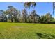 Expansive green backyard with mature trees, perfect for outdoor activities and relaxation at 7309 Night Heron Dr, Land O Lakes, FL 34637