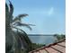 Beautiful water view from the roof, accented by palm trees and a serene, sunny sky at 1314 Jumana Loop, Apollo Beach, FL 33572