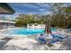 Community pool with ample lounge seating and shady umbrellas at 2312 Tudor Ln, Clearwater, FL 33763