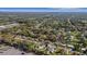 A scenic aerial view of a neighborhood with lush landscaping at 4814 Edmund Ct, Dover, FL 33527