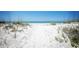 Sandy path leading to a serene beach, bordered by lush dune grass and vegetation at 614 Gulf Blvd # 4, Indian Rocks Beach, FL 33785