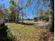 Neighborhood street view featuring mature trees and well-maintained landscaping at 8530 Alexandra Arbor Ln, Temple Terrace, FL 33637