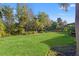 Lush green backyard with mature trees and landscape, offering a private and serene outdoor space at 9708 Highland Park Pl, Palmetto, FL 34221