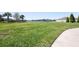 Expansive greenspace with a scenic pond view, perfect for outdoor activities at 11714 Wrought Pine Loop, Riverview, FL 33569