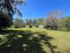 Expansive backyard with mature trees and a storage shed at 37324 Rose Ave, Dade City, FL 33523