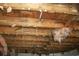 Exposed ceiling with visible insulation, wood beams, and signs of water damage at 780 116Th Ave, Treasure Island, FL 33706