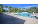 Enjoy the community pool featuring crystal-clear water, poolside seating, and beautiful palm tree surroundings at 12406 Bristol Commons Cir, Tampa, FL 33626