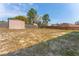 Large backyard with a storage shed and plenty of space for outdoor activities at 13191 Siam Dr, Spring Hill, FL 34609