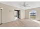 Inviting living room with neutral paint, plush carpet, ceiling fan, and natural light from large window at 13911 Briardale Ln, Tampa, FL 33618