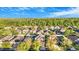 Neighborhood aerial shot with well-maintained lawns and tree coverage under a sunny blue sky at 20427 Carolina Cherry Ct, Tampa, FL 33647