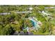 Aerial view of a large, resort-style community pool surrounded by trees and lounge chairs at 36750 Us Highway 19 N # 3-210, Palm Harbor, FL 34684