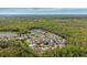 Lush aerial view showcasing many homes nestled among mature trees in a residential community at 4821 Barchetta Dr, Land O Lakes, FL 34639