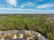 Overhead shot featuring homes adjacent to a forest with mature trees and lush vegetation at 4821 Barchetta Dr, Land O Lakes, FL 34639