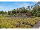 Community entrance sign for Berry Bay with landscaping and decorative elements at 4904 Eagle Rock Dr, Wimauma, FL 33598