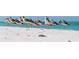Flock of sandpipers resting on a pristine white sand beach with a tranquil turquoise ocean backdrop at 710 Seminole, Clearwater, FL 33755