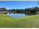 A grassy lawn leads to a pond with trees and a building in the distance at 8210 Downpatrick Ct, Tampa, FL 33610