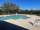 Sparkling pool with ample deck space for lounging and relaxing near a beautiful lake and mature tree at 8210 Downpatrick Ct, Tampa, FL 33610