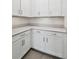 Large walk-in pantry with abundant wire shelving for organized storage at 9802 Carabiner Way, Land O Lakes, FL 34637