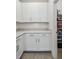 Spacious pantry with wire shelving to maximize storage at 9802 Carabiner Way, Land O Lakes, FL 34637