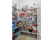 Organized walk-in pantry with shelves stocked with an array of groceries and household items at 9802 Carabiner Way, Land O Lakes, FL 34637