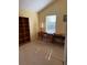 Sunlit bedroom with a vaulted ceiling, complemented by a built-in bookshelf and a bright window at 10002 Bradwell Pl, Tampa, FL 33626